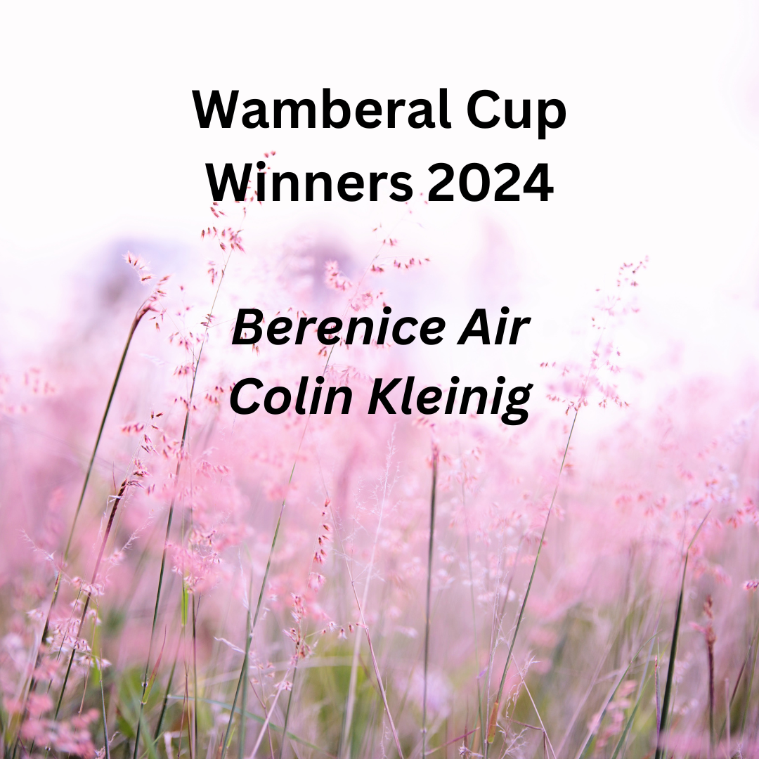 Wamberal Cup