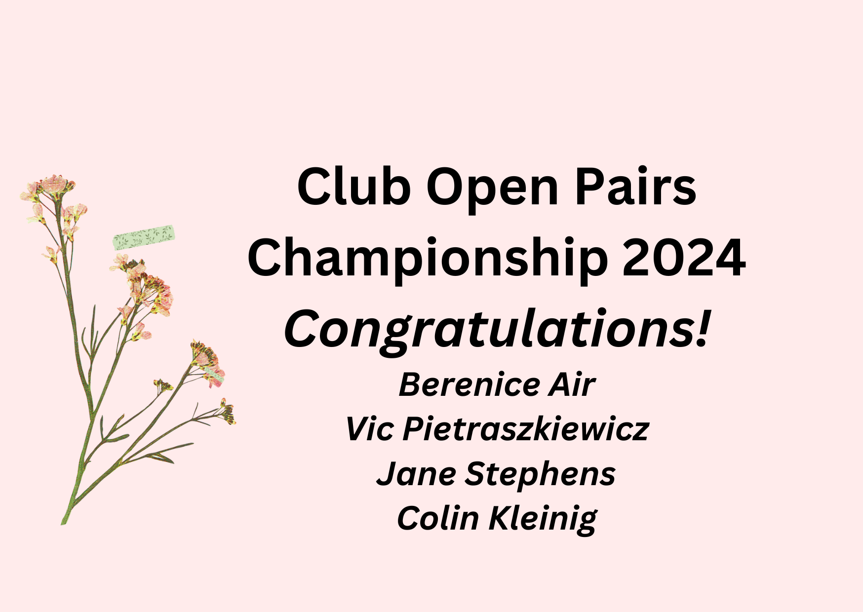 Club Open Teams Championship 2024
