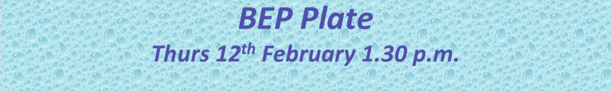 BEP Plate 2026