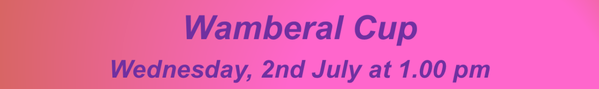 Wamberal Cup Header