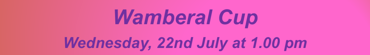 Wamberal Cup Header